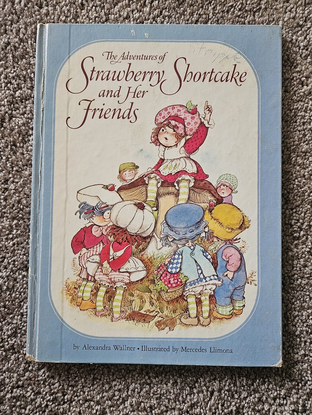 1980 The Adventures Of Strawberry Shortcake And Her Friends Book